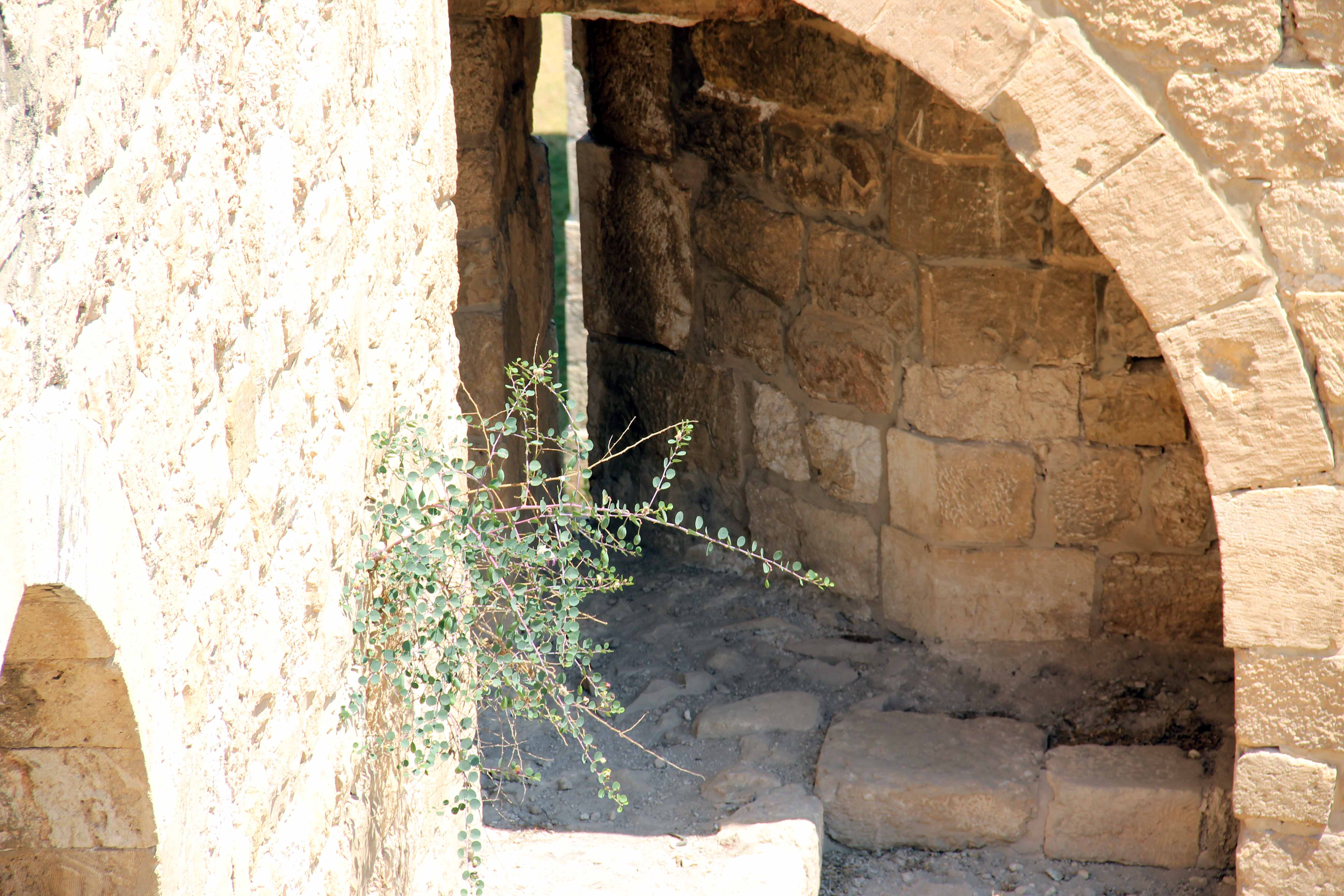 Ramparts Walk Citadel 52